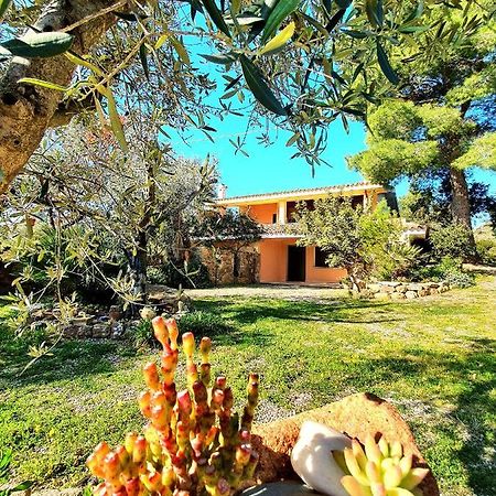 Villa Alice Apartments Orosei Exterior photo